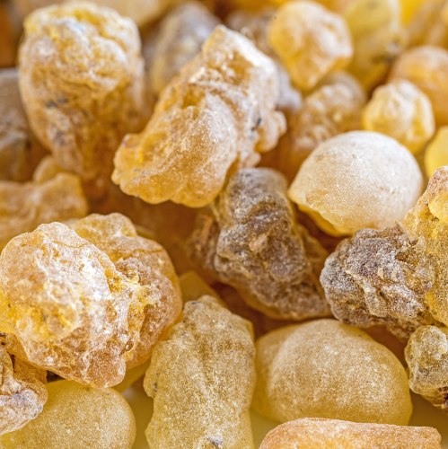 Frankincense Therepeutic Grade Oil 2